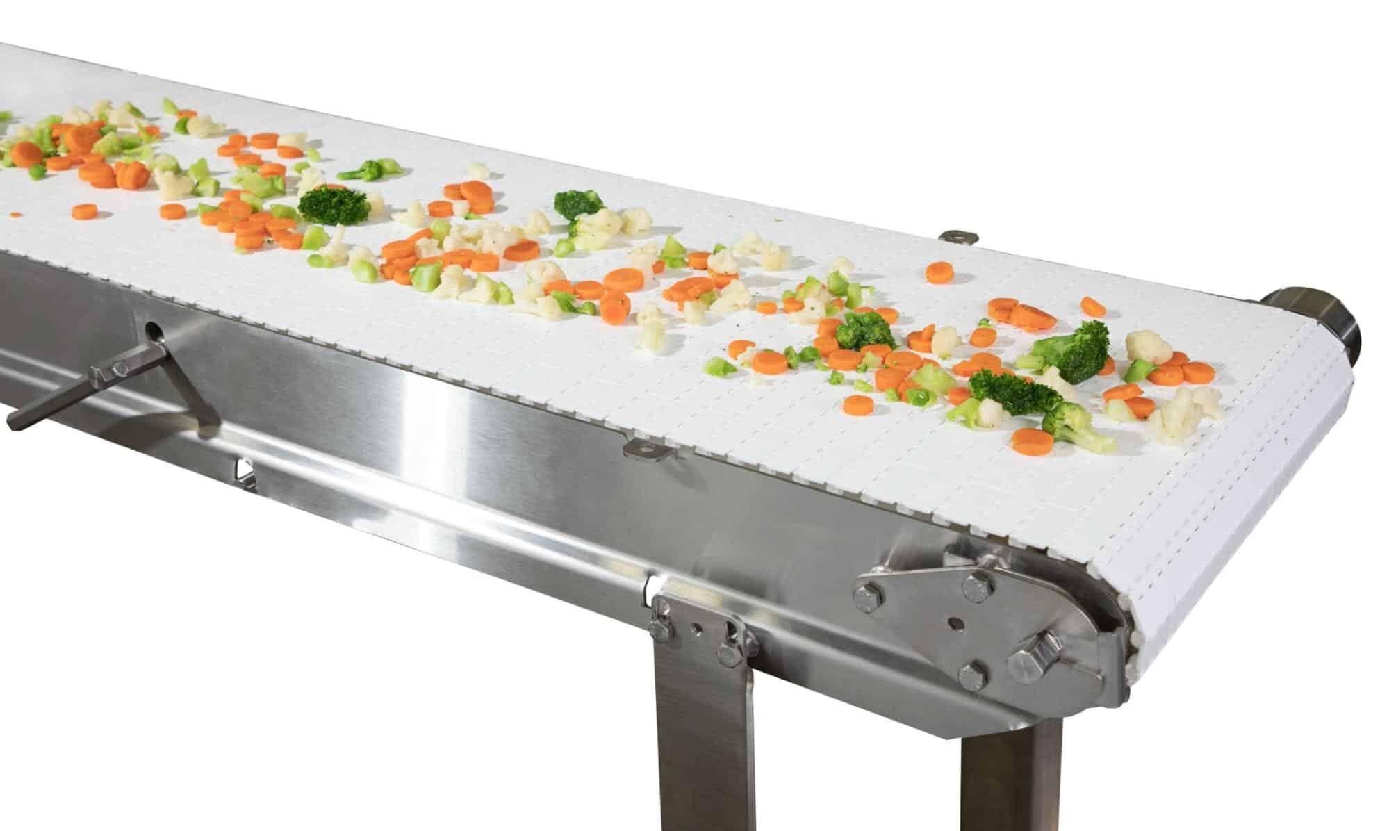 A Dorner AquaPruf conveyor transports vegetables.